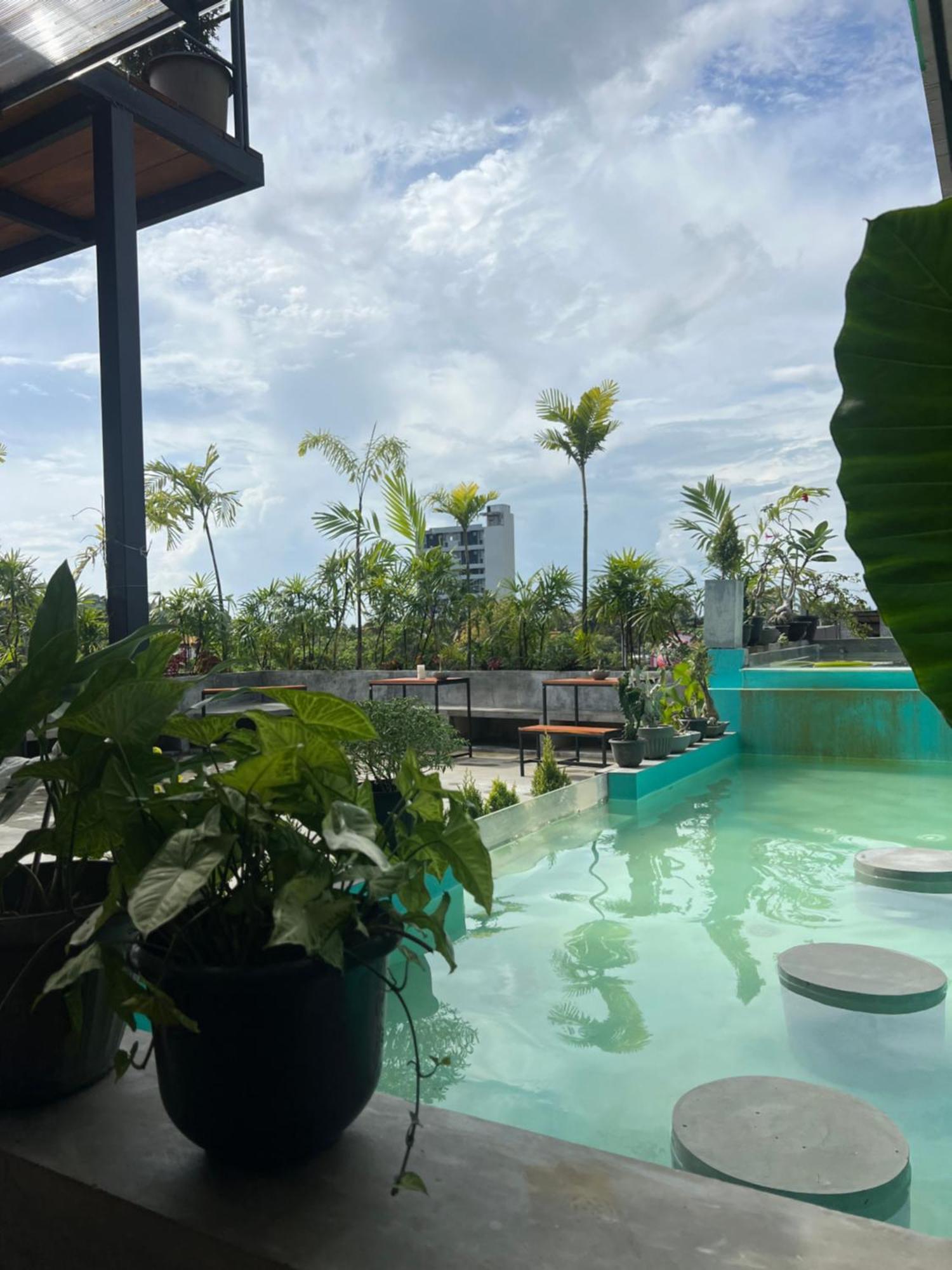 Yasis Surf Lodge Mirissa Eksteriør billede